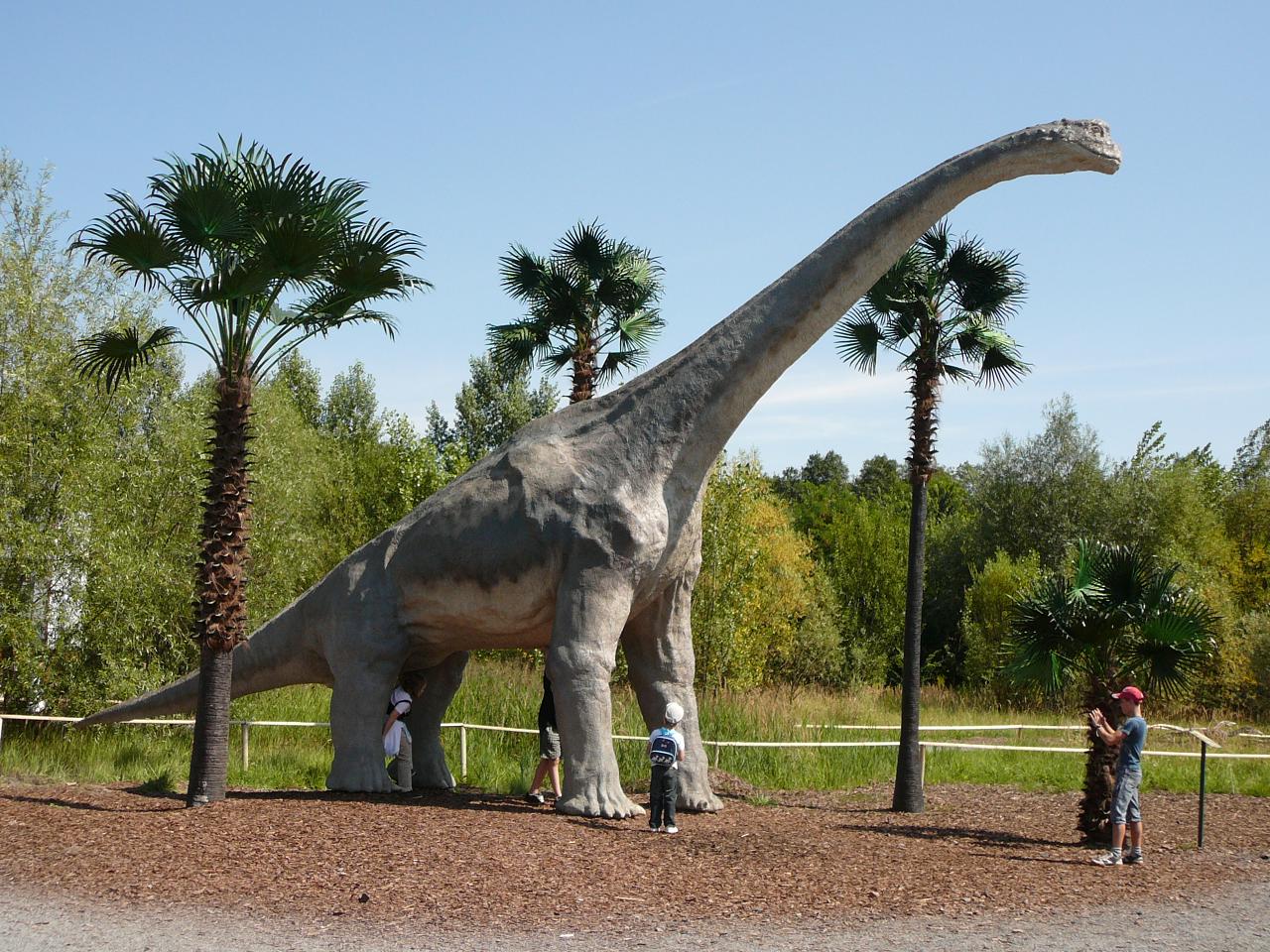 Brachiosaurus 1.JPG