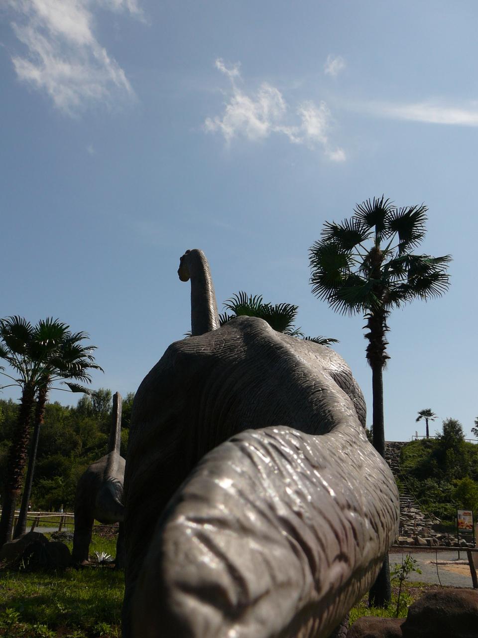 Brachiosaurus 3.JPG