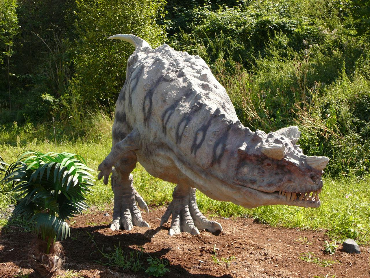 Ceratosaurus.JPG