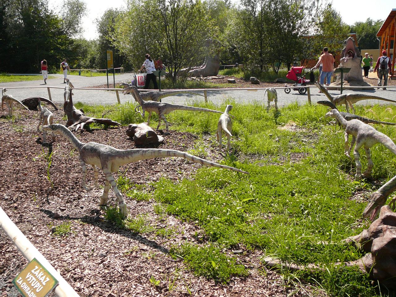 Compsognathus 1.JPG