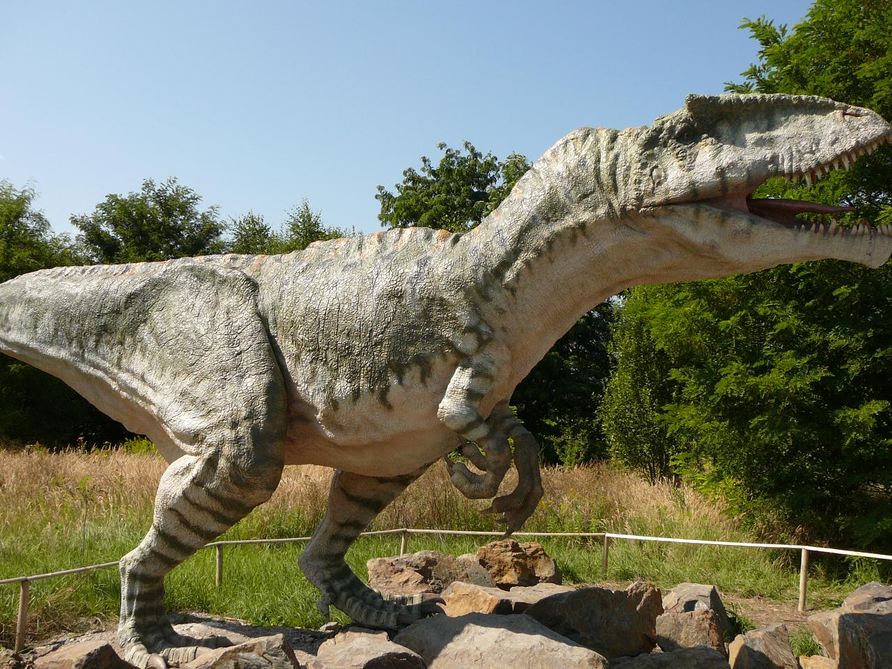 Gygantosaurus 2.JPG