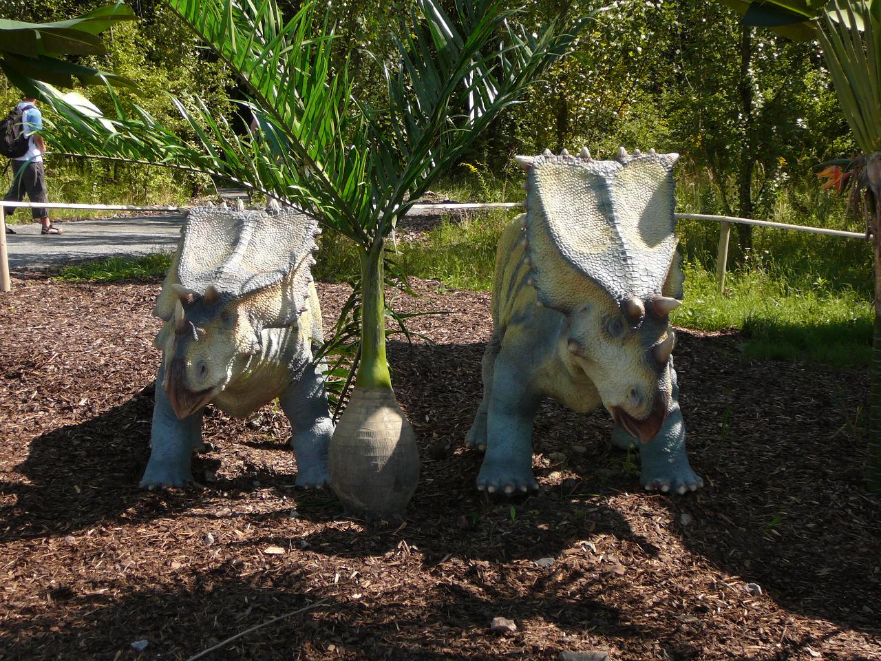 Chasmosaurus1.JPG