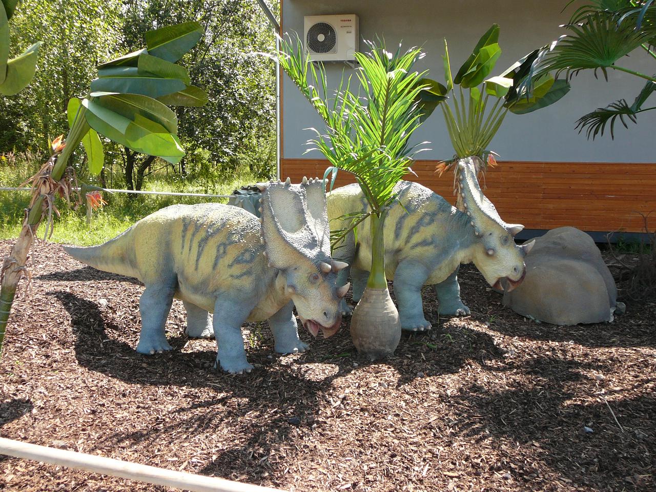 Chasmosaurus2.JPG