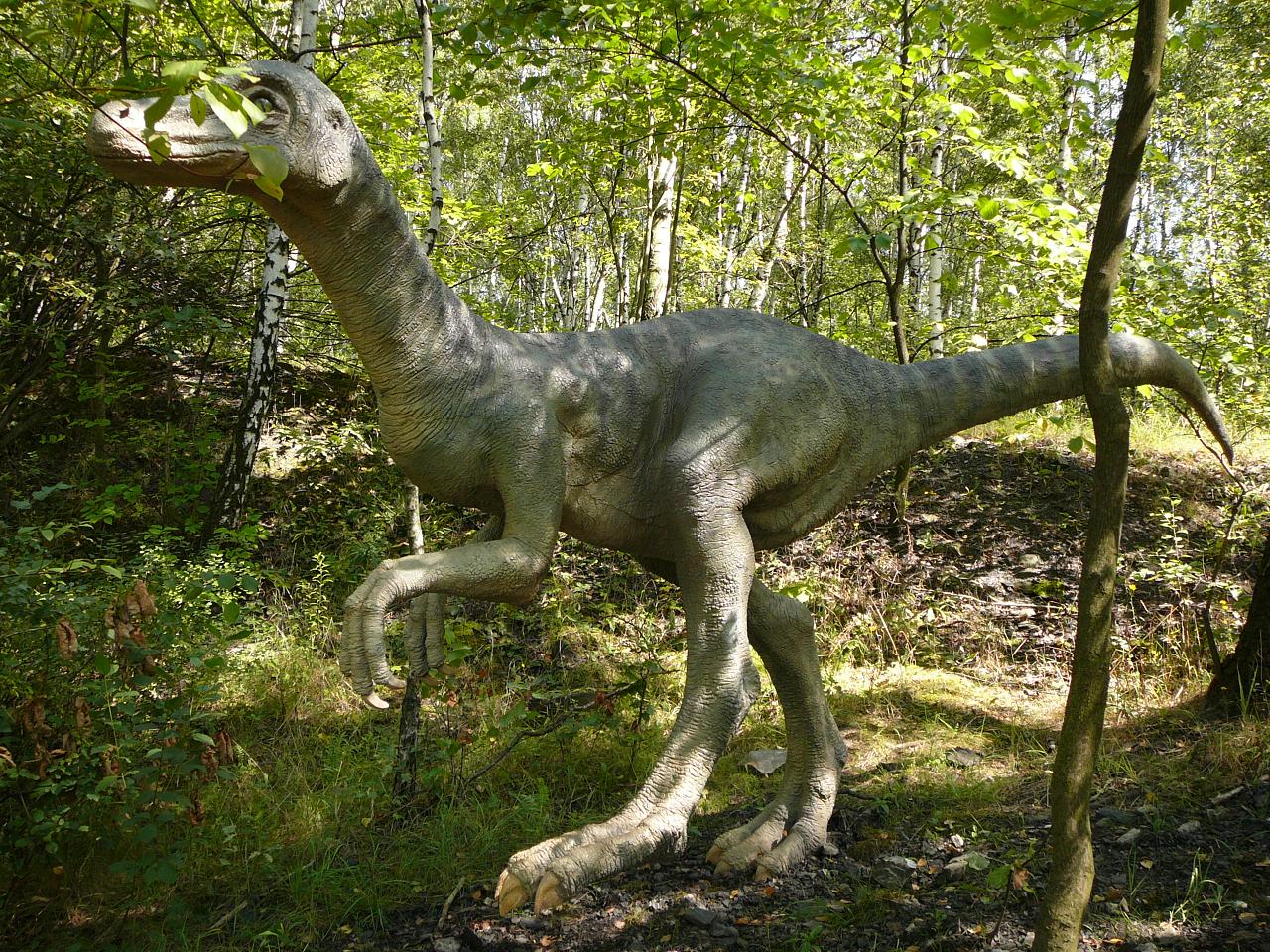 Ornithomimus 1.JPG