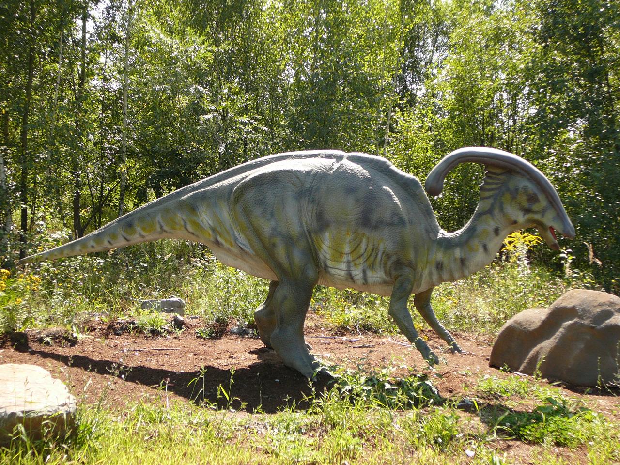 Parasauroluphus 1.JPG