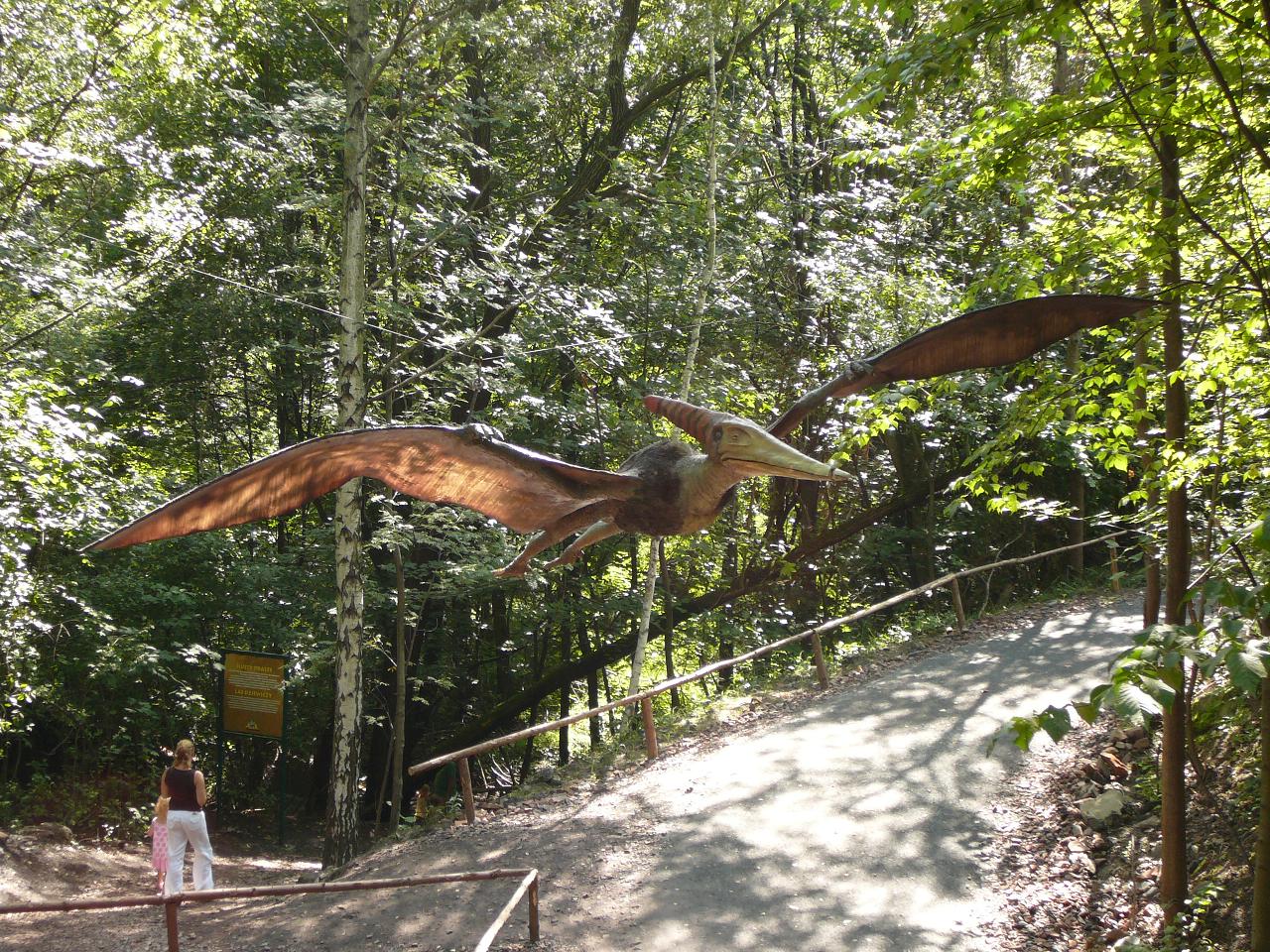 Pteranodon 1.JPG