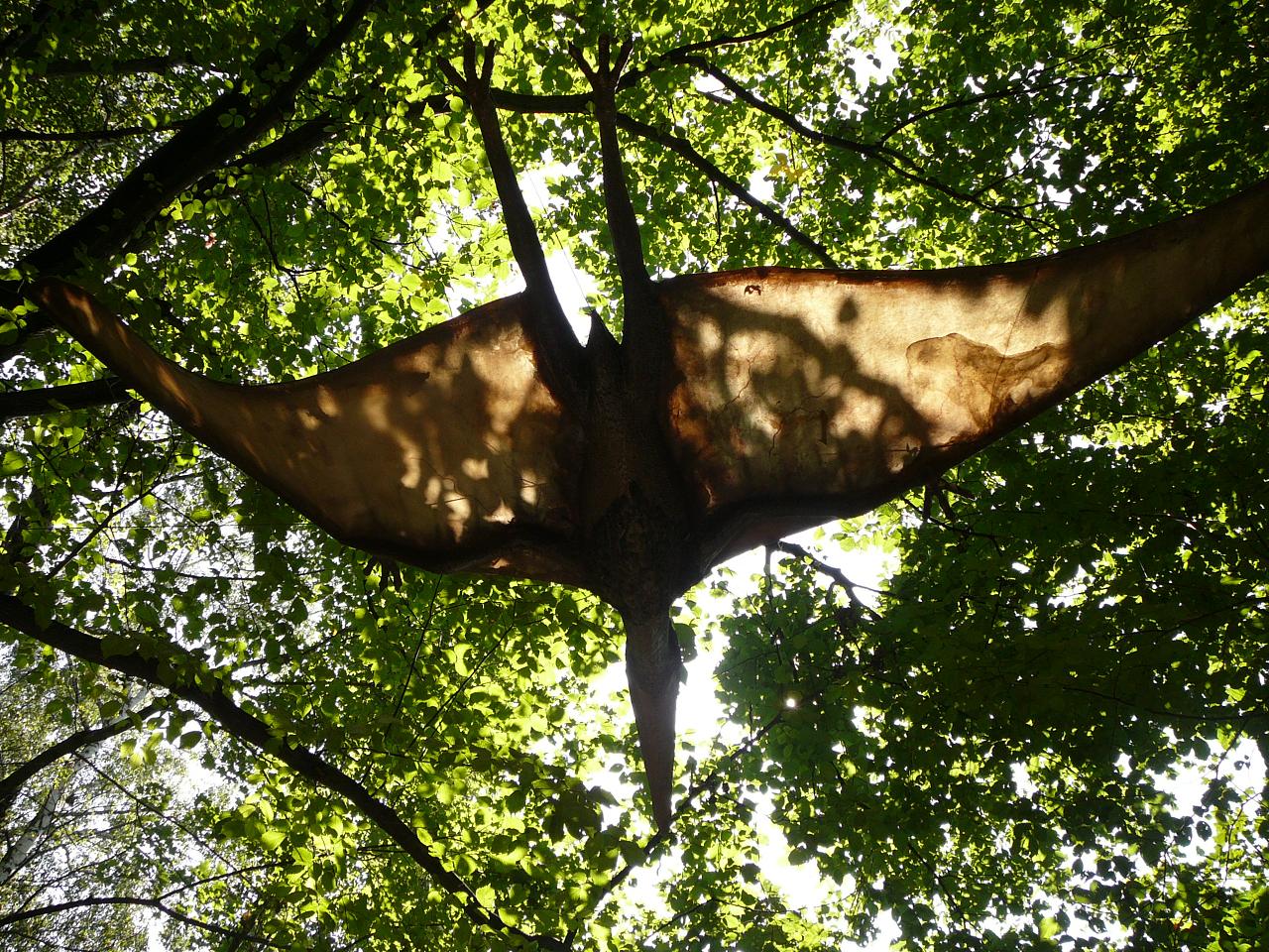 Pteranodon 3.JPG