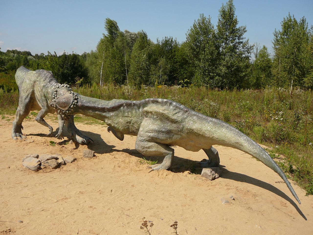 Pychycephalosaurus 2.JPG